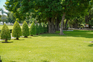 cemetery in the garden