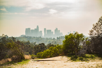 View of DTLA, Elysian Park, Los Angeles, California
