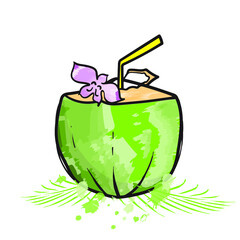 Vector illustration of coconut. Hand drawn watercolor coconut painting on white background. EPS 10.