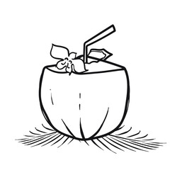 Hand drawn coconut painting on white background.