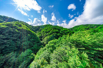 【群馬県 嬬恋村】キャベツ畑の広がる、嬬恋パノラマライン