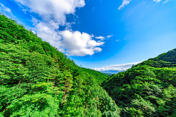 【群馬県 嬬恋村】キャベツ畑の広がる、嬬恋パノラマライン