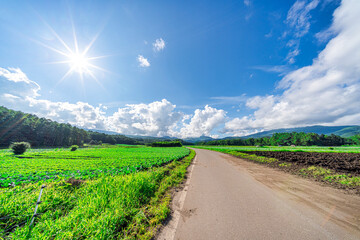 【群馬県 嬬恋村】キャベツ畑の広がる、嬬恋パノラマライン