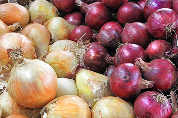Farm market - mix of yellow and red fresh onions for sale. Aerial view.