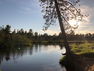 Naklejka premium lake in the forest
