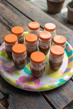 Bagoong in plastic containers for sale. Small business opportunity in Philippines. Bagoong is made of either fermented fish or krill or shrimp paste with salt.