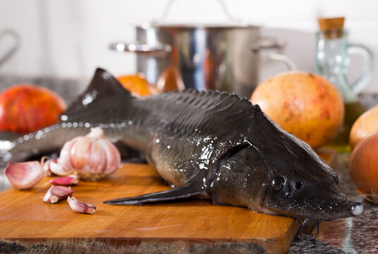 Picture of raw fish sturgeon at plate before preparing laying on table