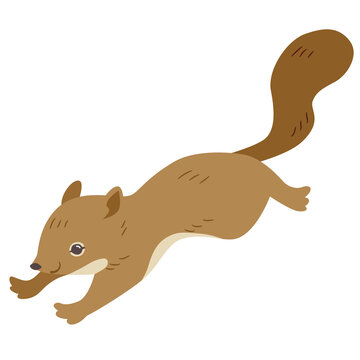 Squirrel Running Images – Browse 6,953 Stock Photos, Vectors, and Video | Adobe Stock Squirrel Running Images – Browse 6,953 Stock Photos, Vectors, and Video | Adobe Stock