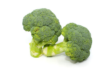 broccoli isolated on white