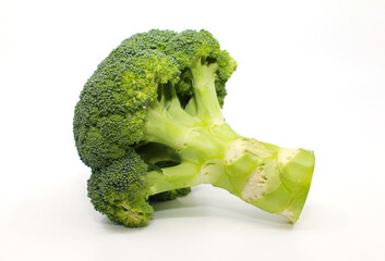 broccoli isolated on white