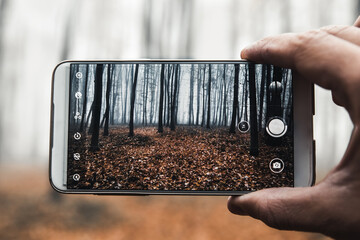 Smart phone mobile photography of picture of a foggy forest