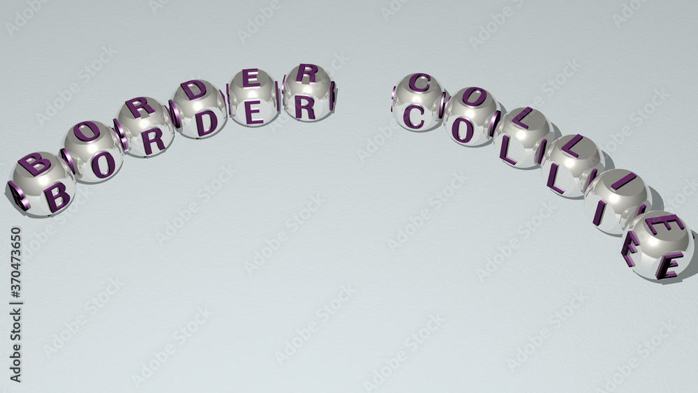Poster border collie text of dice letters with curvature. 3d illustration. background and abstract