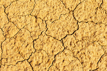 Soil cracks desert sands water evaporation stagnation and global warming large cracks in clay soil due to water evaporation
