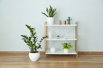 Shelf unit with houseplants near light wall