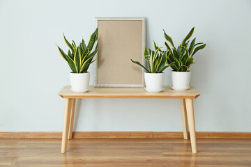 Table with houseplants and blank frame near light wall
