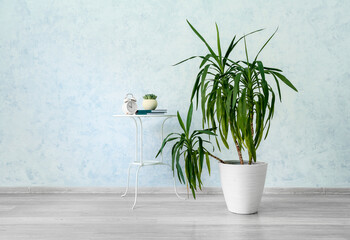 Interior of modern room with houseplant and table
