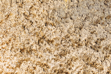 Textured background surface of the stone in the mountains