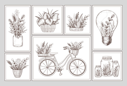 Collection of vector illustrations with hand drawn decoration elements, plants, herbs, branches, light bulb, bicycle isolated on grey background