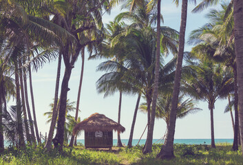 Hut in Palawan