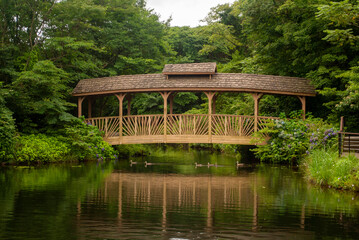 Fototapeta premium 제주도 에코랜드 jeju ecoland