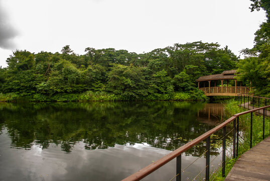 제주도 에코랜드 jeju ecoland