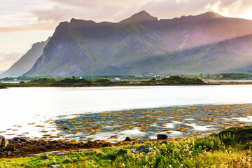 Naklejka premium Northern Norway