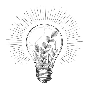 88 581 Best Lightbulb Drawing Images Stock Photos Vectors Adobe Stock