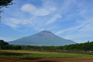 Fototapeta premium a sign of the approach of autumn