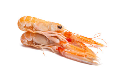 boiled lobster isolated