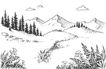 Fototapeta na wymiar Vector illustration of nature. landscape with mountains, meadows and forest. Illustration of tourism and recreation in the wild. hand-drawn sketch, black and white graphics