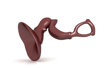 3D illustration of inner ear . Cochlea in color background