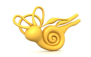 3D illustration of inner ear . Cochlea in color background