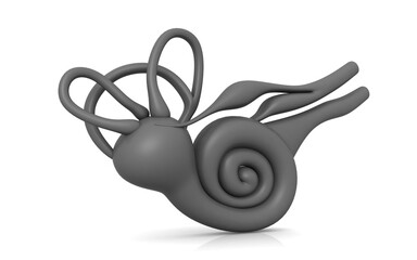 3D illustration of inner ear . Cochlea in color background