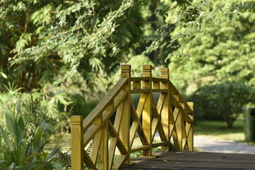 wooden bridge in the forest