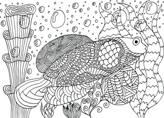 hand drawn sketch of fish