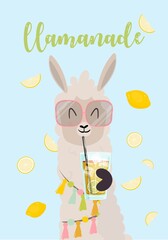 Obraz na płótnie Canvas Summer vector illustration and card design with llama drinking a cocktail or lemonade.