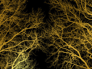 Background material golden indigo forest abstract 4689