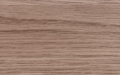 Naklejka premium background of Ash wood on furniture surface