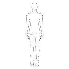 Men to do max thigh measurement fashion Illustration for size chart. 7.5 head size boy for site or online shop. Human body infographic template for clothes. 