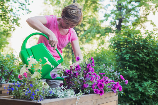 young caucasian woman gardener planting flowers in wooden container pot outside, outdoors planting landscaping, lifestyle horizontal closeup stock photo image