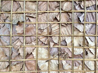 Dry leaf wallpaper 