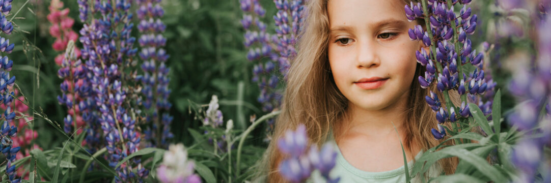 portrait of a cute little happy seven year old kid girl with bloom flowers lupines in a field in nature outdoor. banner
