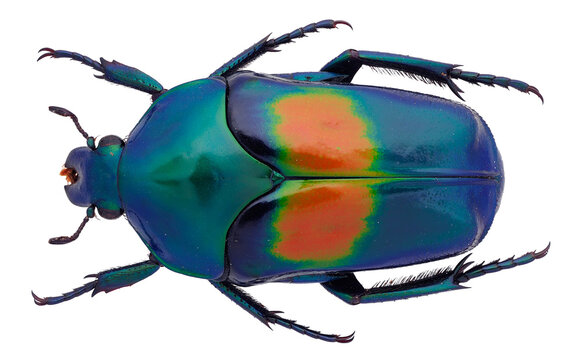 「1876」の写真素材 2,658件の無料イラスト画像 Adobe Stock