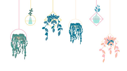 set of hanging plants in pots for interior. Flat cartoon vector illustration on white background