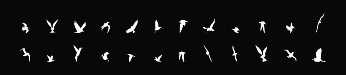 flying bird icon with various models isolated on black