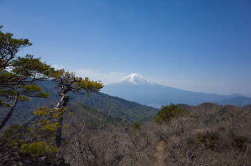 A view of Mt.Fuji and the blue sky from Mt.Honjagamaru, Yamanashi Prefecture, Japan.