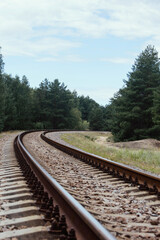 The railroad tracks in the forest. Empty rail track surrounded by trees.