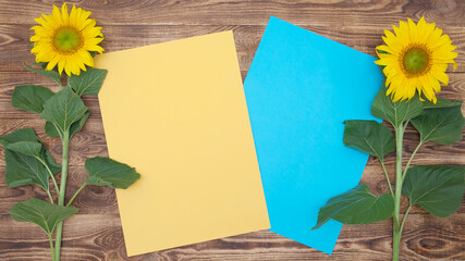 bright sunflowers on an old wooden background, yellow and blue leaf for inserting text