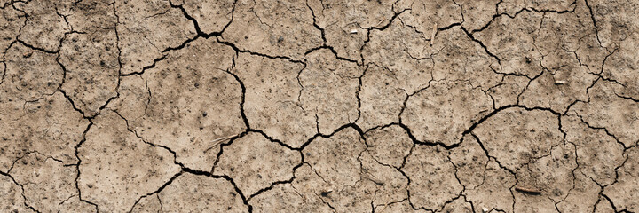 Texture of cracked dried soil. Dry ground with cracks. Brown rough surface of the soil during summer drought. Wide panoramic background for design. Ecology, climate change and global warming on Earth.