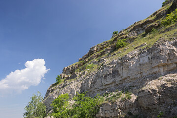 Zhiguli state nature reserve.